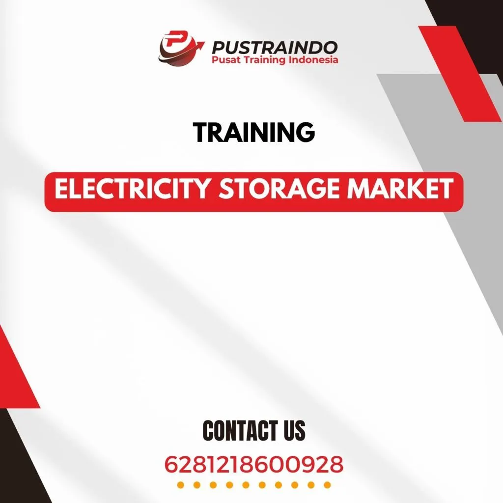 TRAINING ELECTRICITY STORAGE MARKET